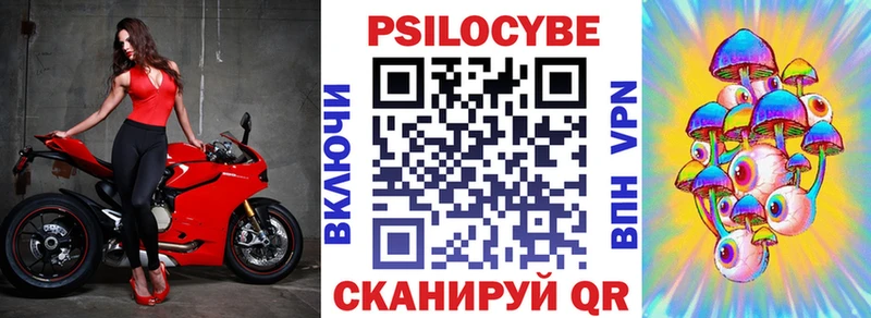 Псилоцибиновые грибы Cubensis  Ужур 